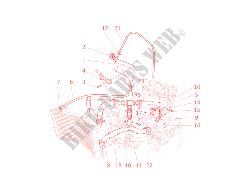 COOLING SYSTEM for Ducati Monster S4 2001