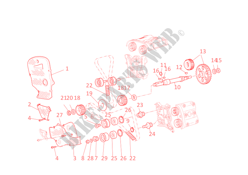 TIMING SYSTEM for Ducati 999R XEROX 2006