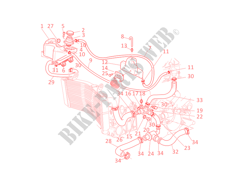 COOLING SYSTEM for Ducati 998 2002