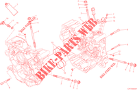 HALF CRANKCASES for Ducati Hypermotard 2015