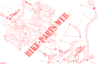 EVAPORATIVE EMISSION SYSTEM (EVAP) for Ducati Hyperstrada 2015