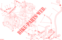 EVAPORATIVE EMISSION SYSTEM (EVAP) for Ducati Hypermotard SP 2015