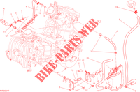 EVAPORATIVE EMISSION SYSTEM (EVAP) for Ducati Hypermotard 2014