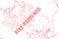 EVAPORATIVE EMISSION SYSTEM (EVAP) for Ducati Hyperstrada 2014