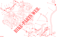 EVAPORATIVE EMISSION SYSTEM (EVAP) for Ducati Hypermotard SP 2014