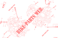 HALF CRANKCASES for Ducati Hypermotard SP 2014