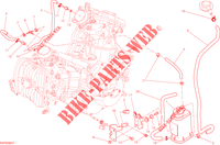 EVAPORATIVE EMISSION SYSTEM (EVAP) for Ducati Hyperstrada 2013