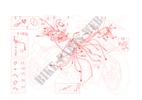 WIRING HARNESS for Ducati Streetfighter 1098S 2013