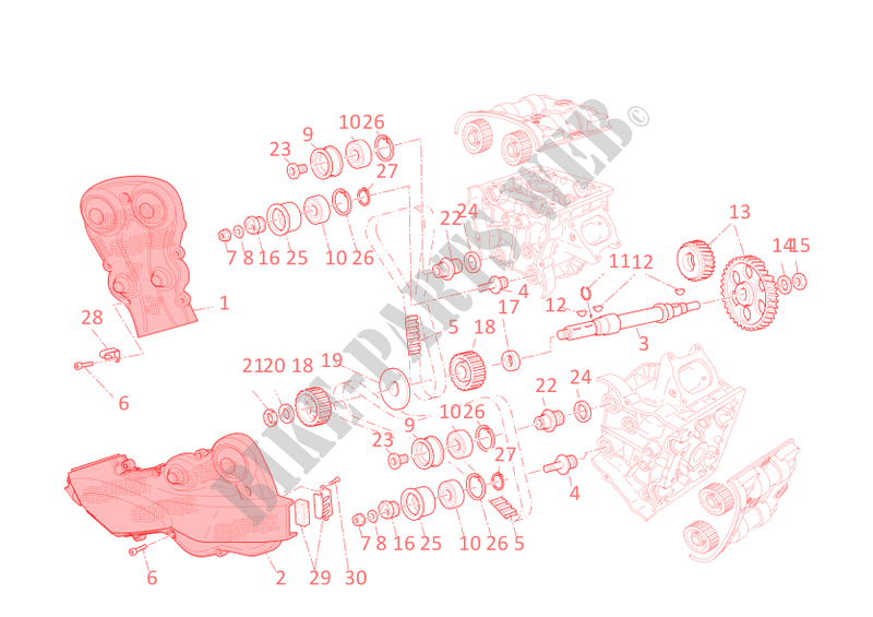 TIMING SYSTEM for Ducati Streetfighter S 2010