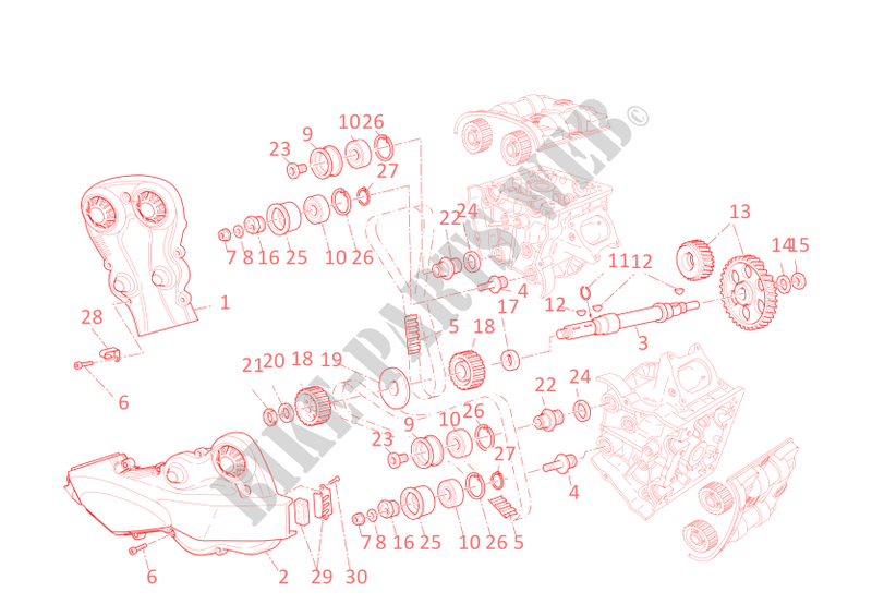TIMING SYSTEM for Ducati Streetfighter 2009