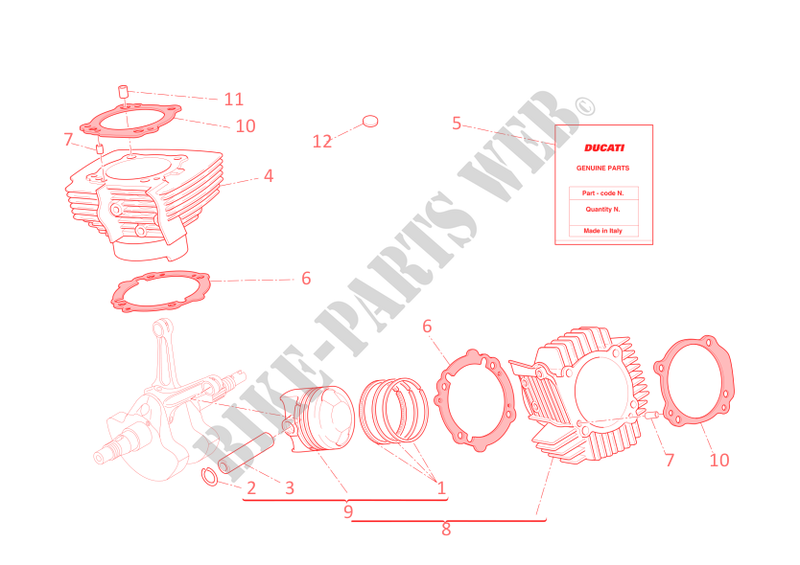 CYLINDERS   PISTONS for Ducati GT 1000 2010