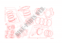 CYLINDERS   PISTONS for Ducati 1299 Panigale S 2016