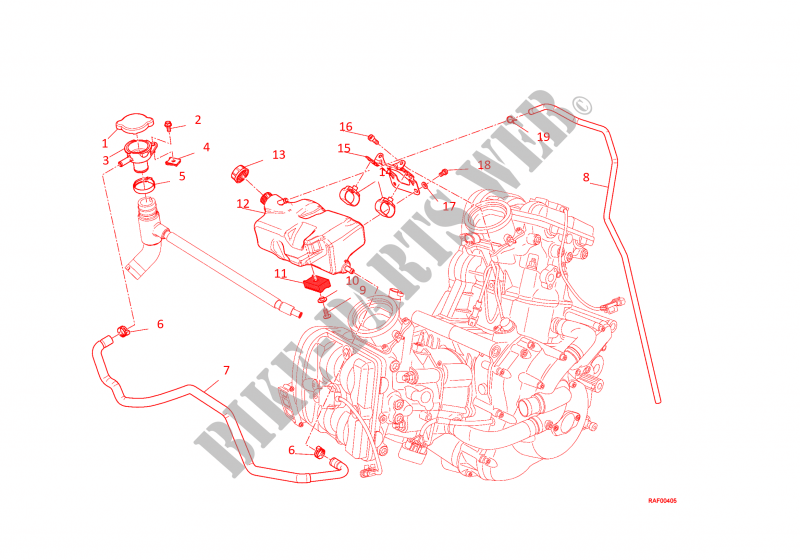 EXPANSION TANK for Ducati Diavel  2016