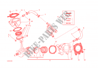 CYLINDERS   PISTONS for Ducati Monster 1200  2016