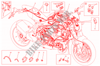 WIRING HARNESS for Ducati Monster 1200 R 2017