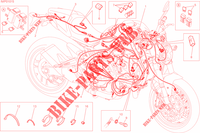 WIRING HARNESS for Ducati Monster 821 2017
