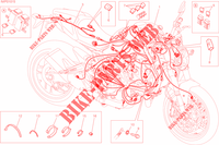 WIRING HARNESS for Ducati Monster 821 Stripes 2017