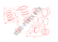CYLINDERS   PISTONS for Ducati Panigale R 2016