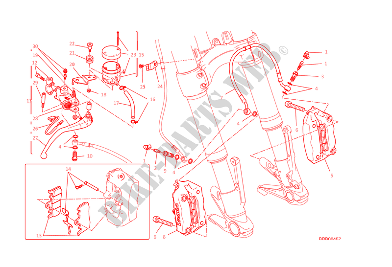 FRONT BRAKE SYSTEM for Ducati Monster 1200 2015