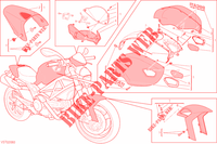 ART KIT for Ducati Monster 796 2013