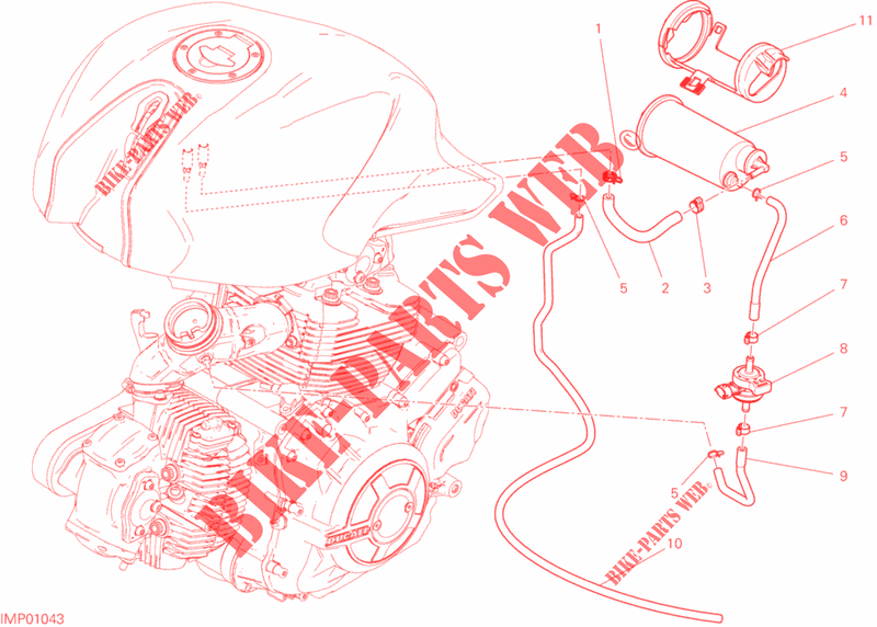 EVAPORATIVE EMISSION SYSTEM (EVAP) for Ducati Monster 659 LEARNER LEGAL (LAMs) 2020