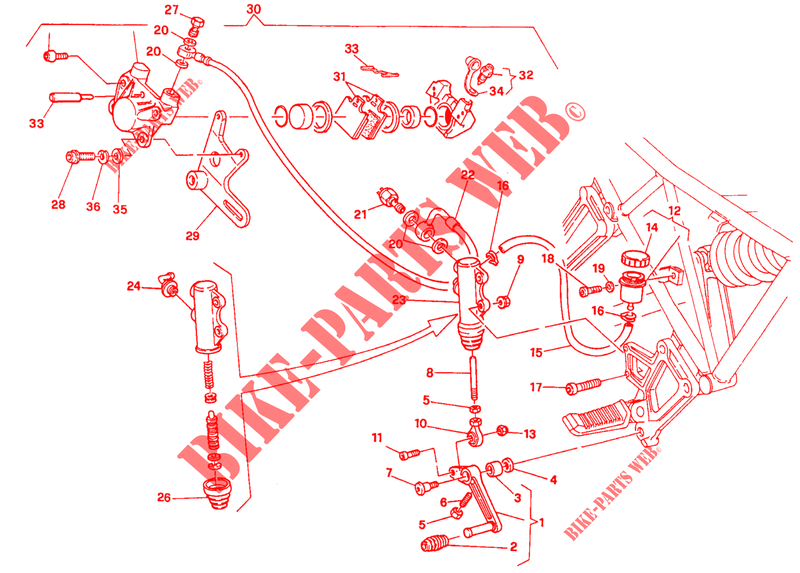 REAR BRAKE SYSTEM (FM 002305) for Ducati 900 SS 1994