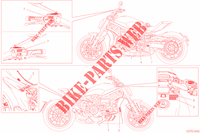 WARNING LABELS for Ducati XDiavel S 2020