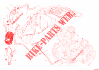 EVAPORATIVE EMISSION SYSTEM (EVAP) for Ducati Diavel 1200 White Stripe 2013