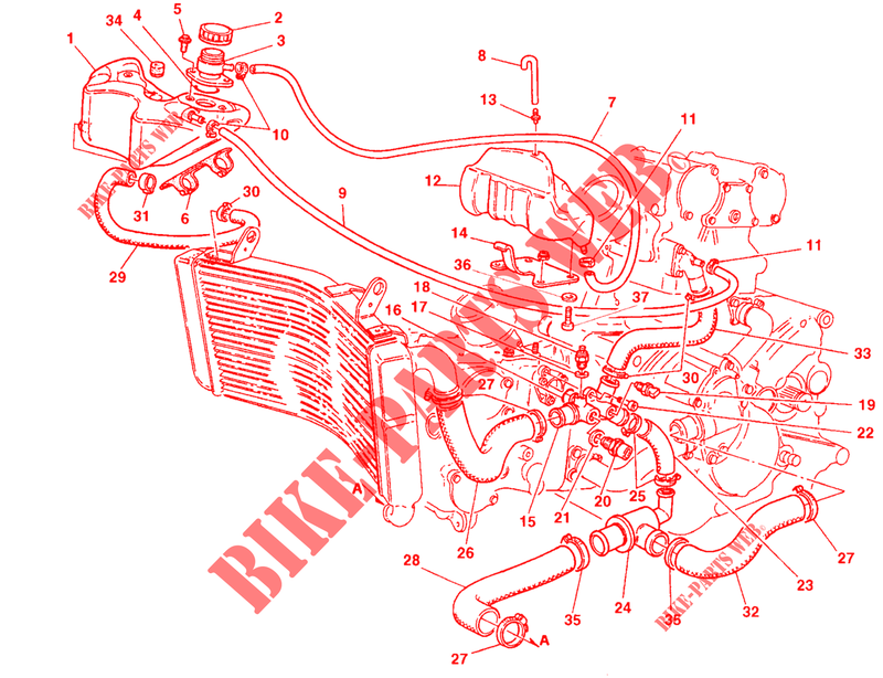 COOLING SYSTEM for Ducati 748 SPS 1998