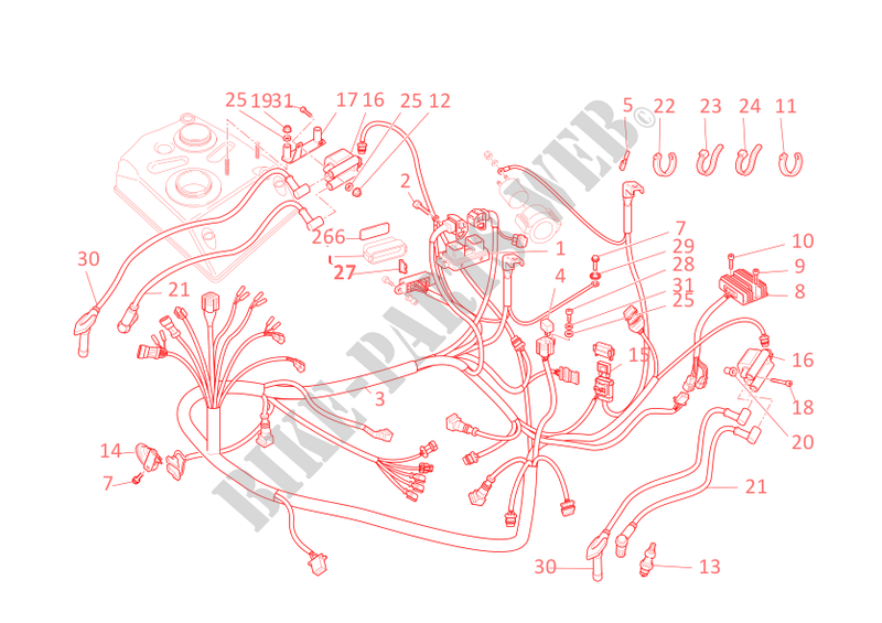 WIRING HARNESS for Ducati Monster S2R 1000 2008