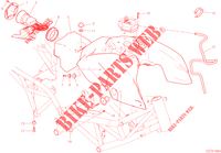 FUEL TANK for Ducati Hypermotard 950 2020
