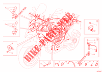 WIRING HARNESS for Ducati Multistrada 1200 ABS 2012