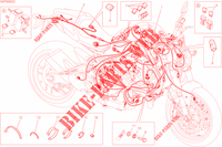 WIRING HARNESS for Ducati Monster 821 2015