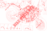 WIRING HARNESS for Ducati Monster 821 Stripes 2015