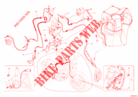 ANTILOCK BRAKING SYSTEM (ABS) for Ducati Monster 696 ABS 2012