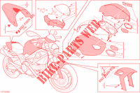 ART KIT for Ducati Monster 696 ABS 2013