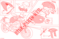 ART KIT for Ducati Monster 796 ABS 2013