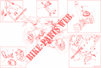 ELECTRICAL PARTS for Ducati Streetfighter V4 S 2021