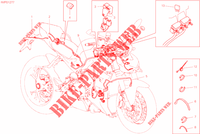 WIRING HARNESS for Ducati Streetfighter V4 2021