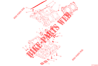 HALF CRANKCASES for Ducati Multistrada V4 Pikes Peak 2022