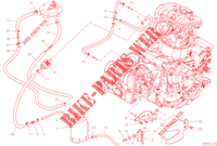 EVAPORATIVE EMISSION SYSTEM (EVAP) for Ducati Multistrada V2 2022