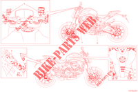 WARNING LABEL for Ducati Monster + 2022