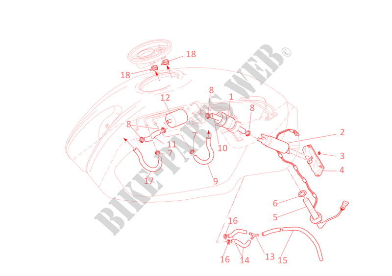 FUEL SYSTEM for Ducati Monster 1000 2004