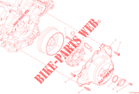 ALTERNATOR / COVER for Ducati Multistrada V4 Pikes Peak 2023