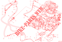 EVAPORATIVE EMISSION SYSTEM (EVAP) for Ducati Multistrada V2 S 2023
