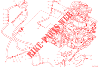 EVAPORATIVE EMISSION SYSTEM (EVAP) for Ducati Multistrada V2 S Travel 2023