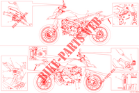 WARNING LABEL for Ducati HYPERMOTARD 950 2023
