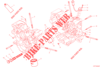 HALF CRANKCASES for Ducati HYPERMOTARD 950 SP 2023
